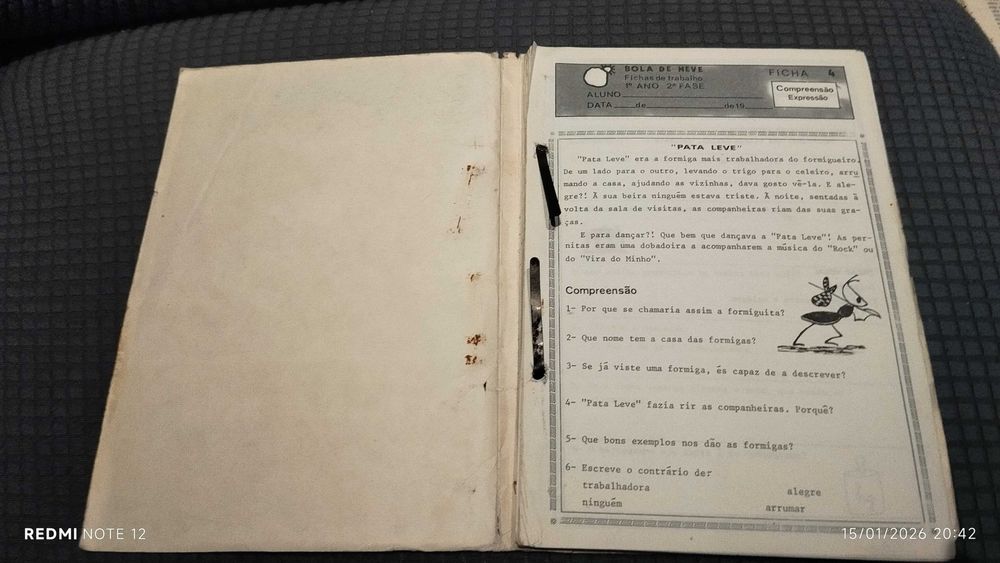 Bola de Neve 1 Ano 2 fase - Livro escolar antigo