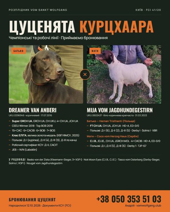Елітні цуценята Курцхаар!