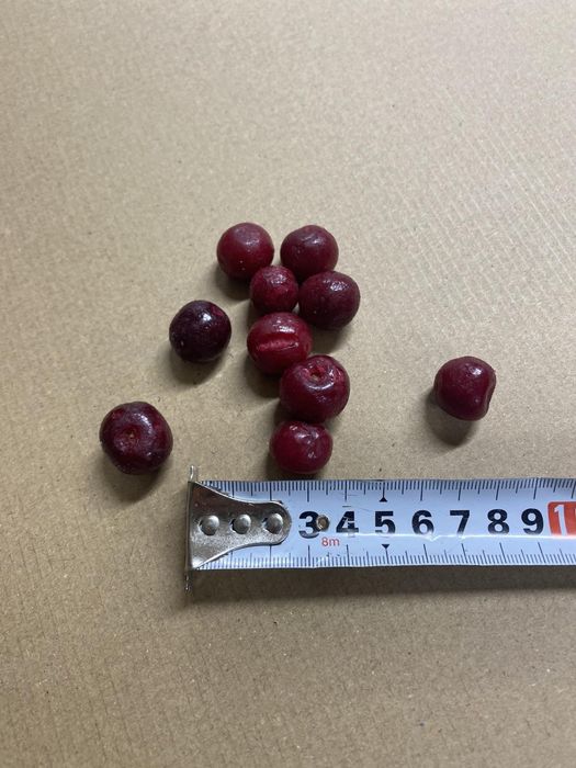 Продам вишню з кісточкою миту.