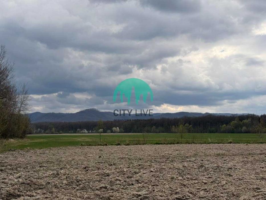Продаж мальовничої земельної ділянки в Карпатах,с.Старі Кути.Поруч озера (63) – pohled 4