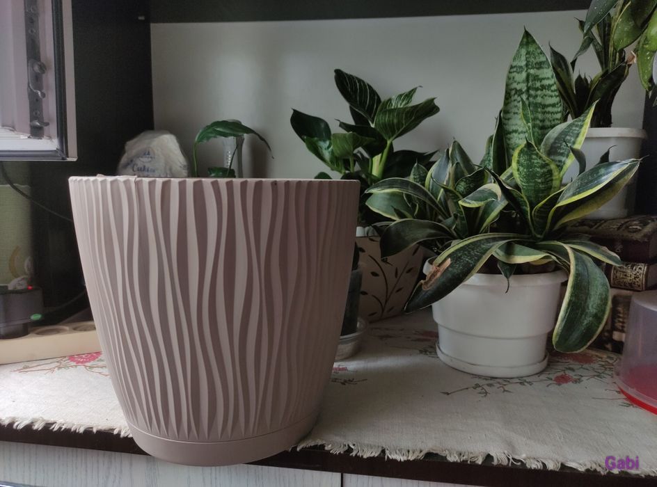 Duża donica 24cm.