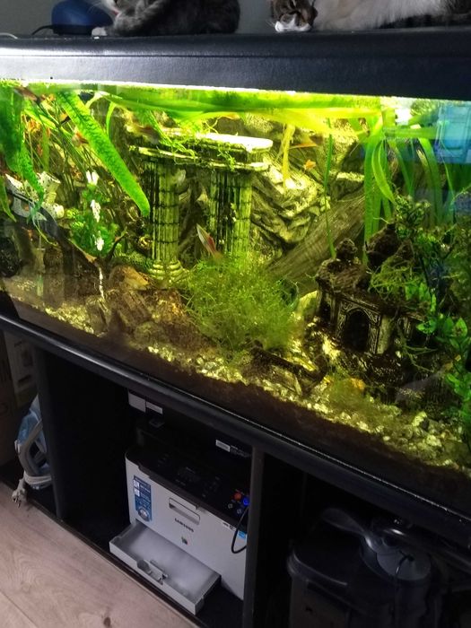 sprzedam akwarium 300l