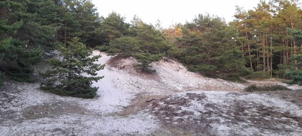 Domek holenderski nad morzem z działką  na wyłączność