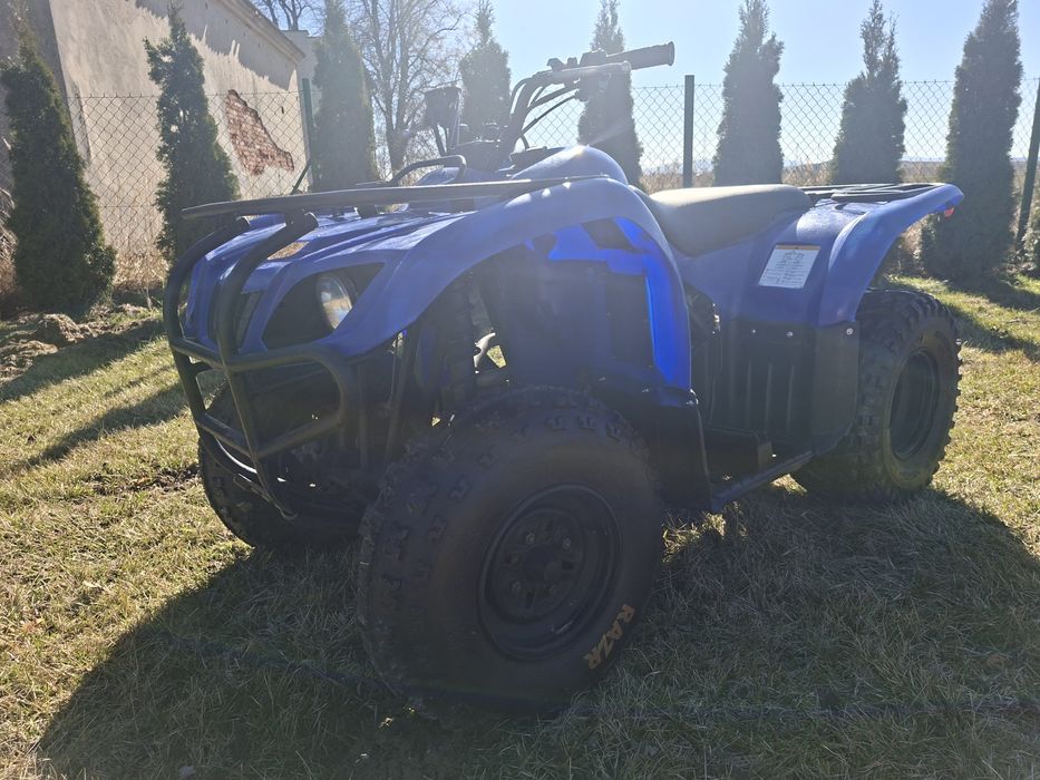 Yamaha gryzzly- bruin 250