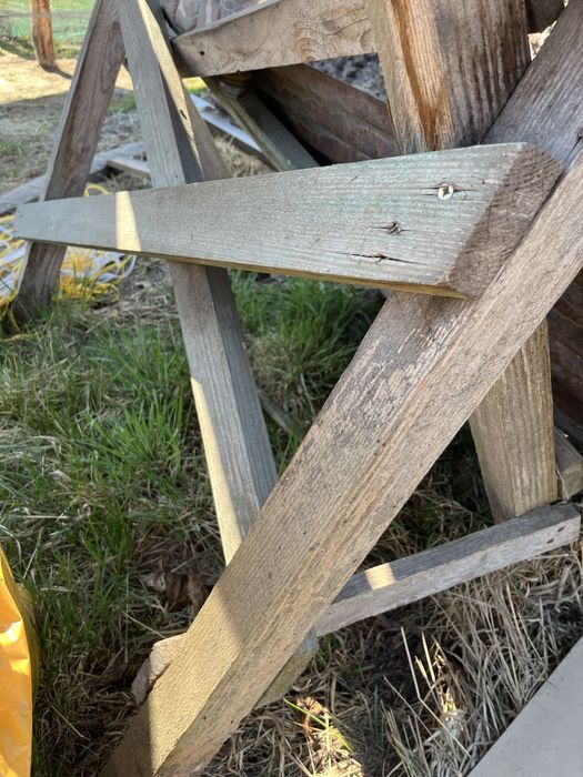 Paśnik dla saren zwierząt