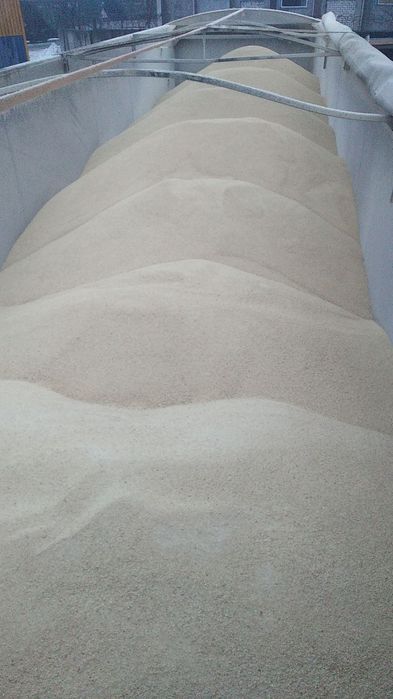 Шрот соняшниковий