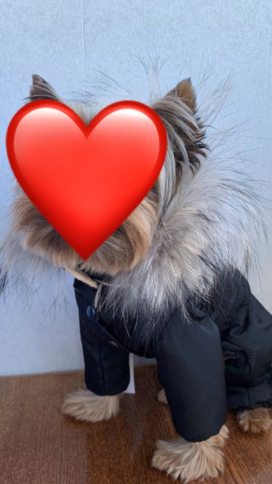 Зимовий комбез на собаку