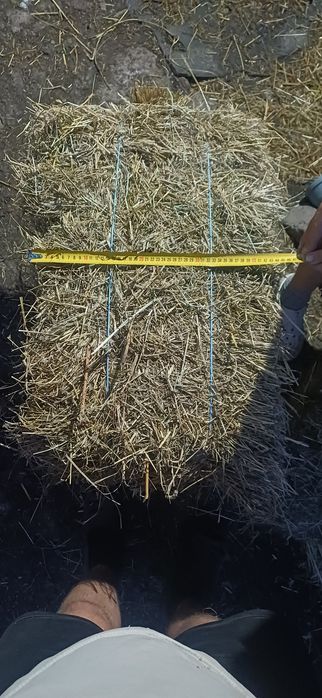 Сіно люцерни тюки і логуве солома