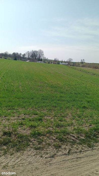 Działka budowlana/siedliskowa z prawem zabudowy, dostęp do mediów - Widok 2