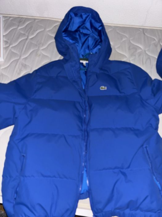 kispo lacoste  original