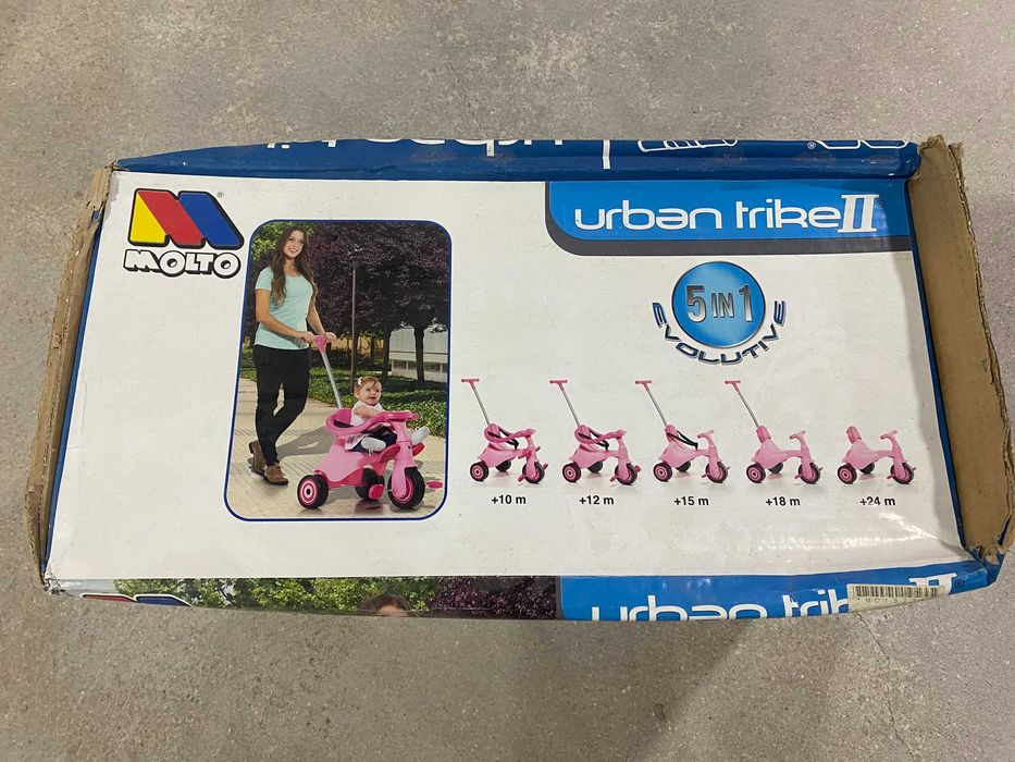 Triciclo Evolutivo