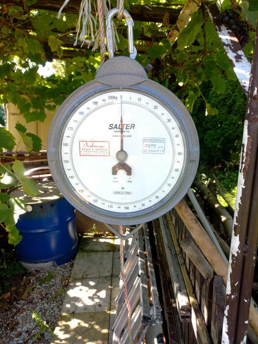 Sprzedam wagę firmy Salter