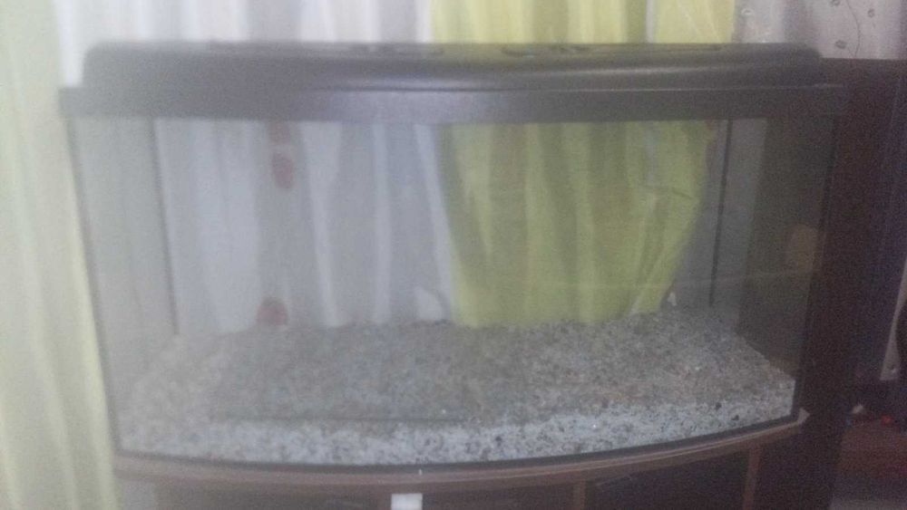 Аквариум с тумбой и крышкой 250 л