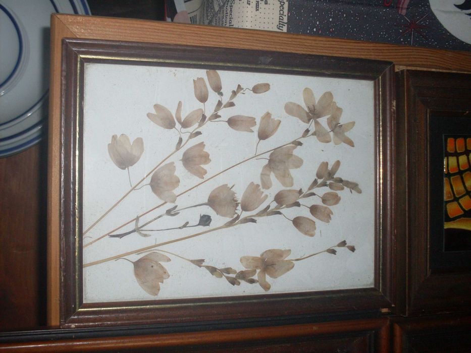 Quadros antigos pinturas originais diversos