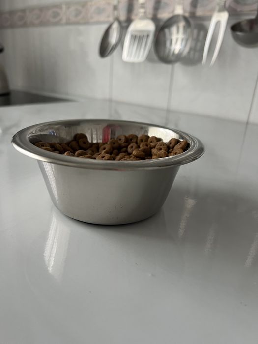 Миски для Котов и Собак.
