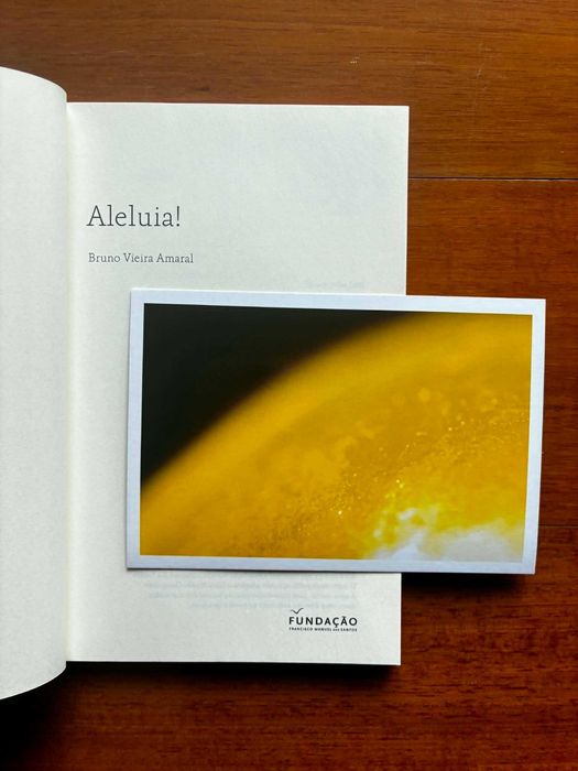 "Aleluia!" de Bruno Vieira Amaral