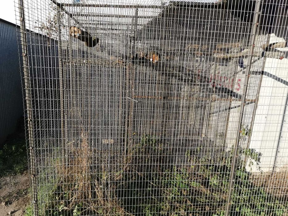 Siatka Arkusz Arkusze 215cm/165cm 3mm Oczko 2cm/7cm Woliera Ocynk