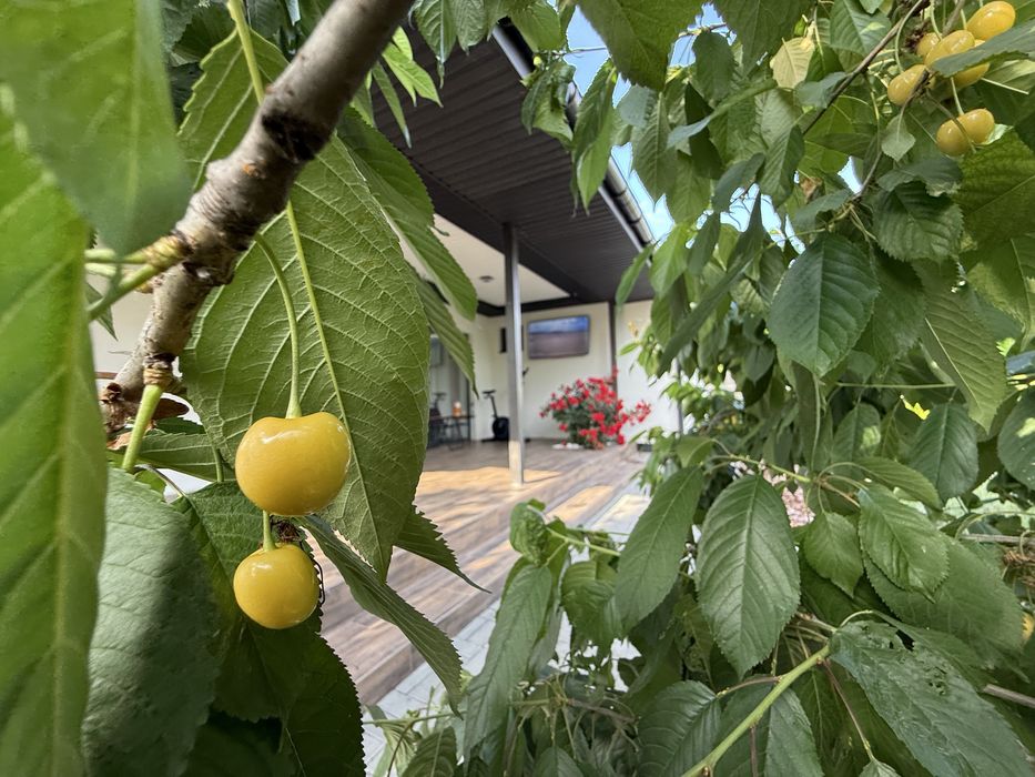 Булинок з ремонтом