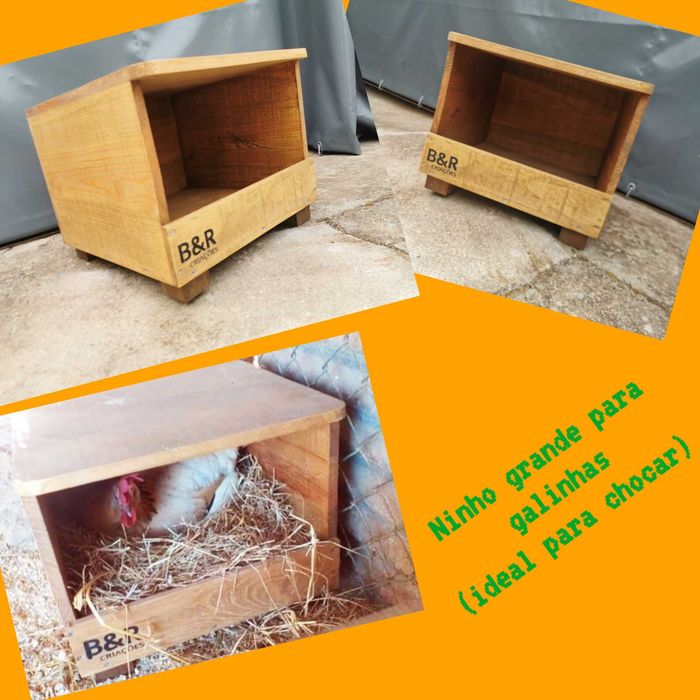 Ninhos para galinhas