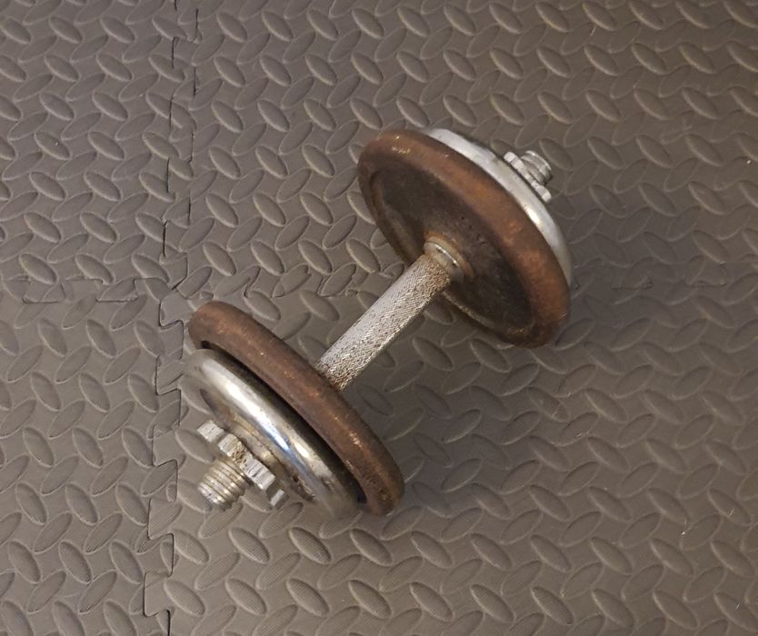 Vendo  halteres 30kg total