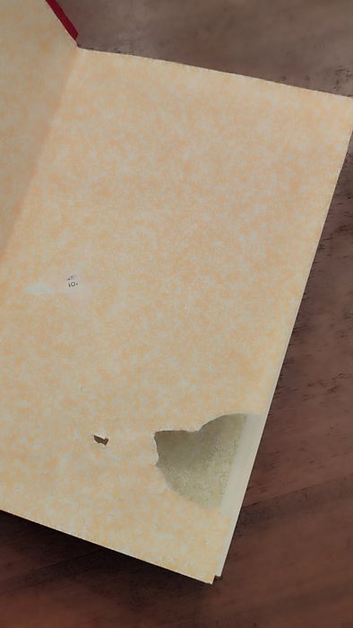 Lote de 2 livros encadernados de Eça de Queirós