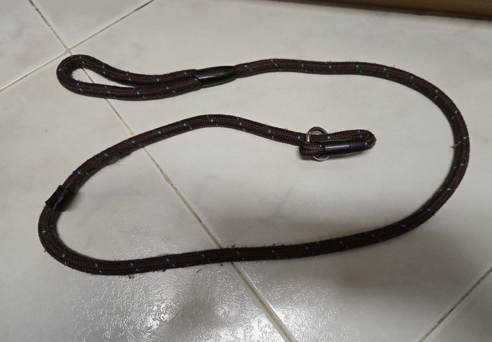 Trela de treino para cães