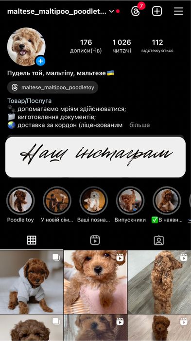 Мелеча пуделя (іграшкові цуценята)