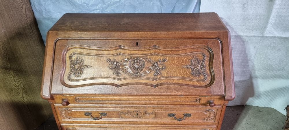 Skretarzyk Ludwikowski