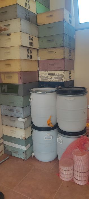 Bidão Plástico 50/60lt com torneira