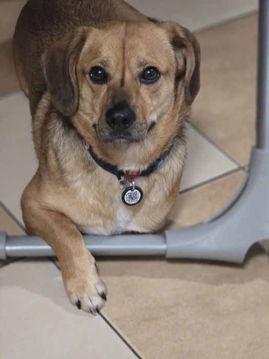 Fryś do pokochania !