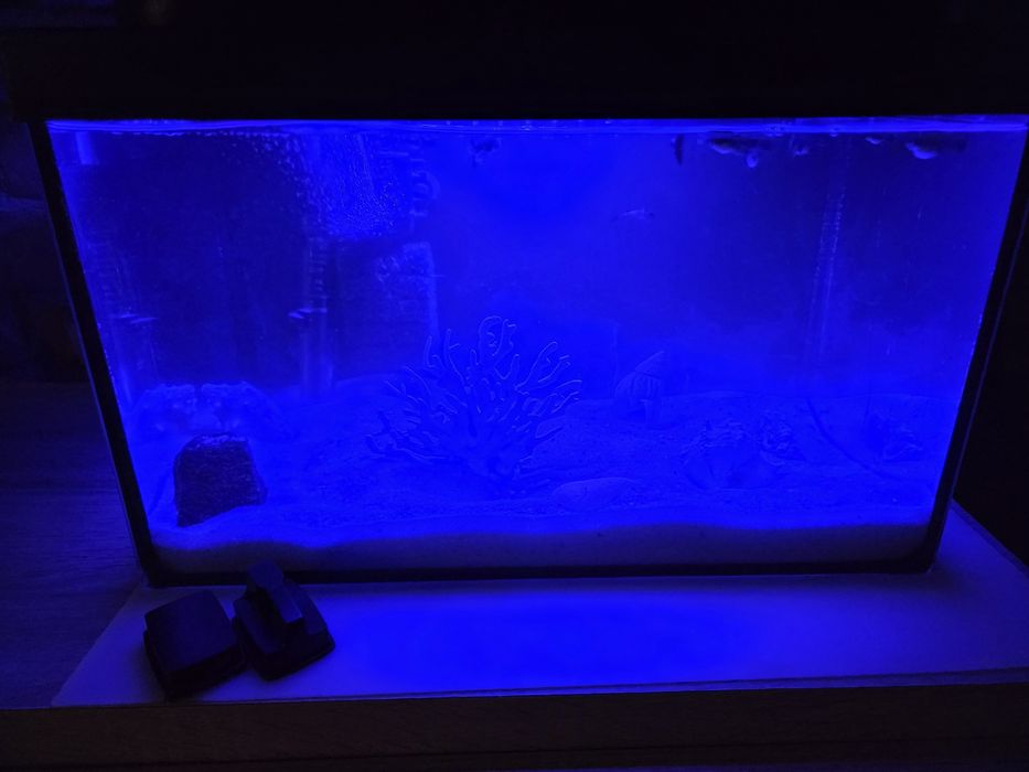 Akwarium z wyposazeniem 40x25