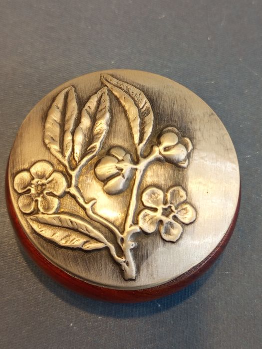 Caixa em Prata para comprimidos