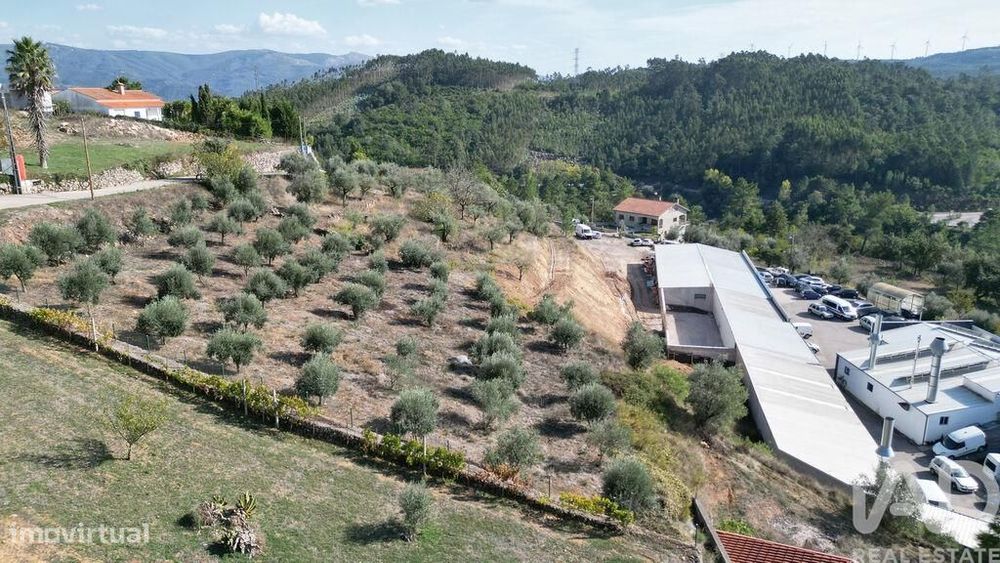 Terreno para construção em São Miguel, Santa Eufémia e Rabaçal