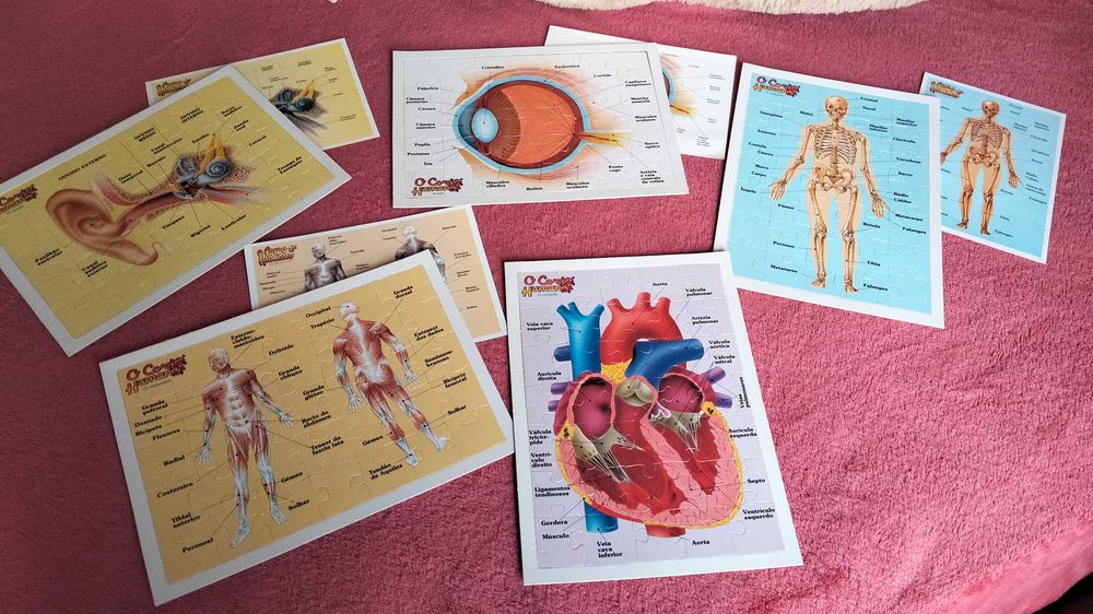Puzzles Corpo Humano