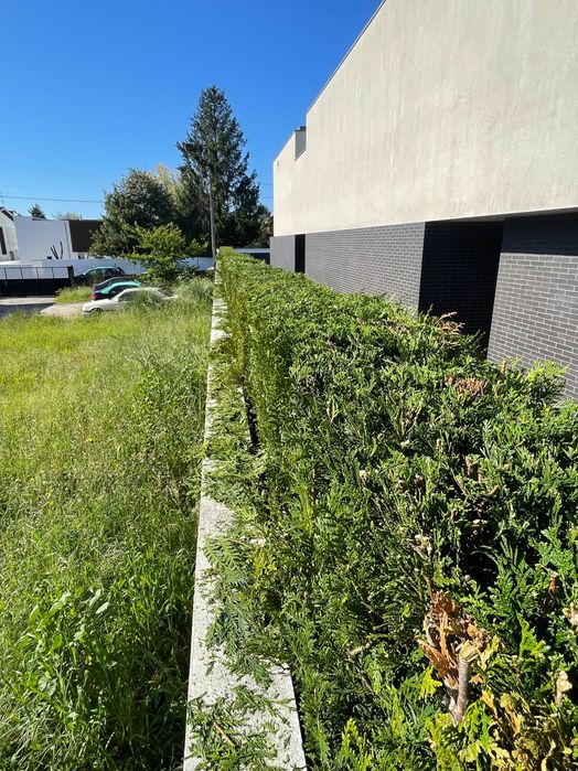 Serviço de jardinagem & Limpeza de terrenos