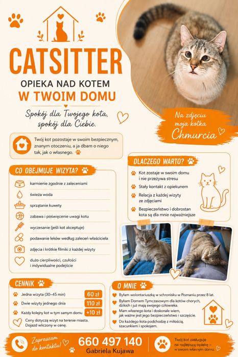 Opieka nad kotami w domu opiekuna Catsitter - Poznań wielkopolska