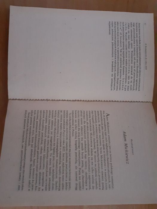Alina Witkowska.  Literatura romantyzmu.