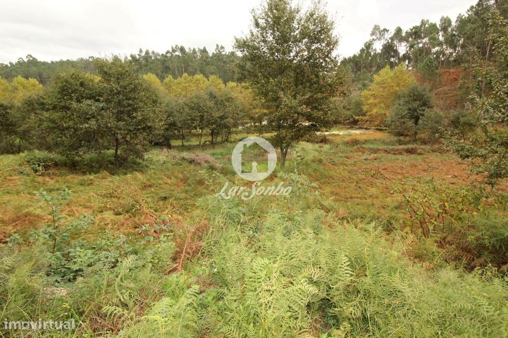 Terreno Venda Agilde Celorico de Basto