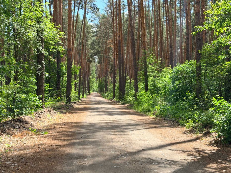 Ділянка земля серед лісу поруч з озером. Закрита територія! 12хв до Ірпеня! Вже можна будуватись