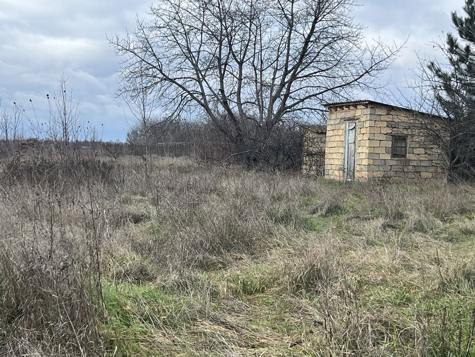 участок в селе Выгода