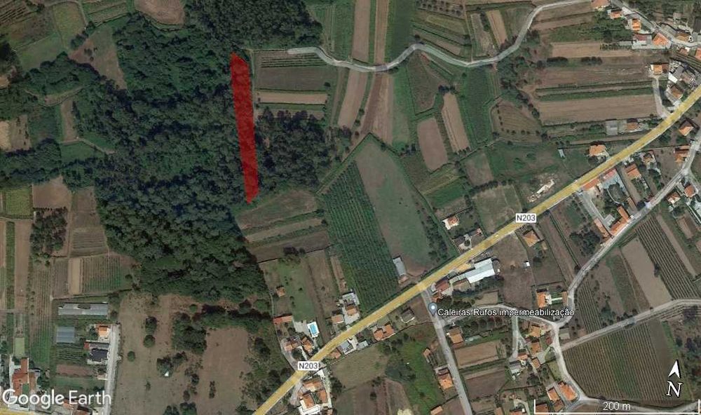 Terreno florestal em Subportela, Viana do Castelo
