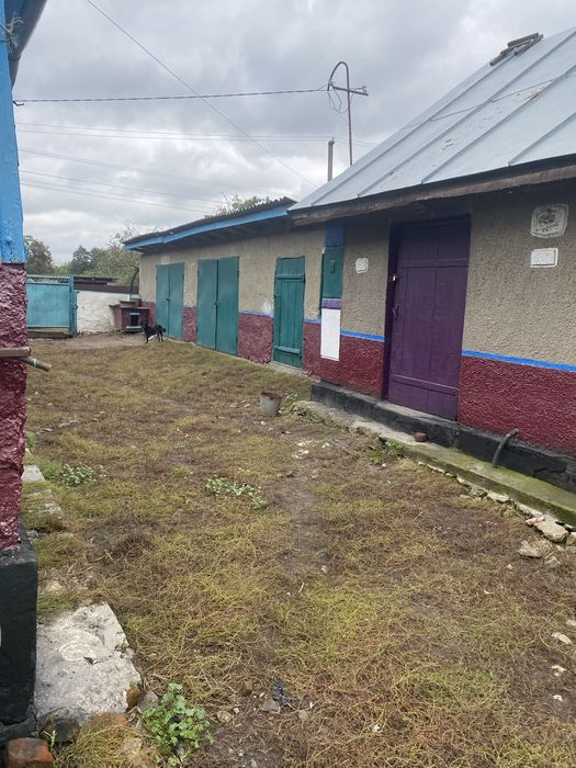 Продається хата в селі