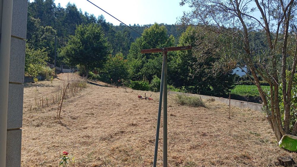 Limpezas de Terrenos