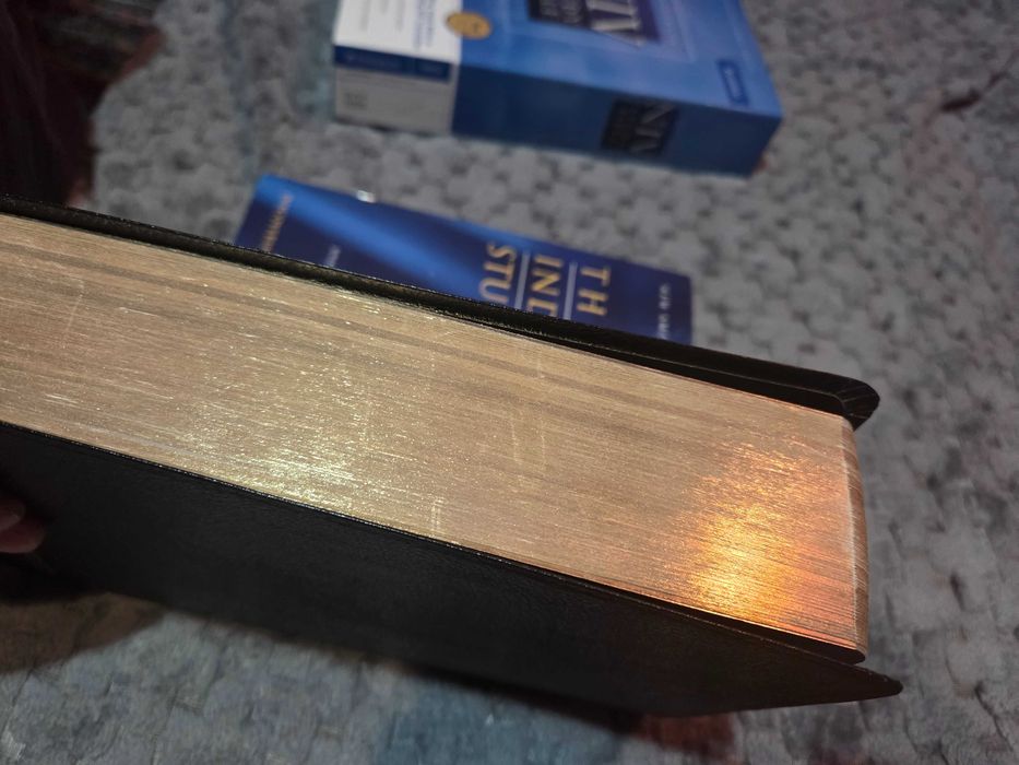 Biblia w jezyku angielskim