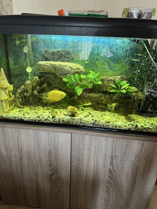 Продам аквариум 200 л