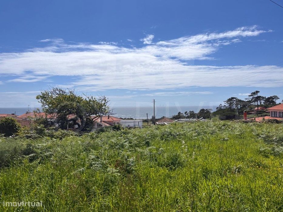 Terreno em Montedor, Carreço - Vista Mar Deslumbrante e Excelente P...