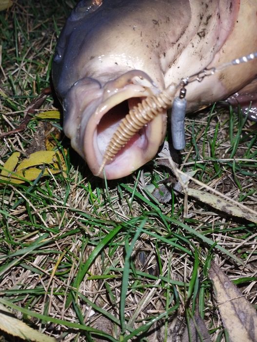 Набір силікону на хижака