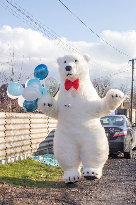 Аниматор Мишка. Білий ведмедик. Мишка. Зайка. Пёс Патрон. Стриптиз.