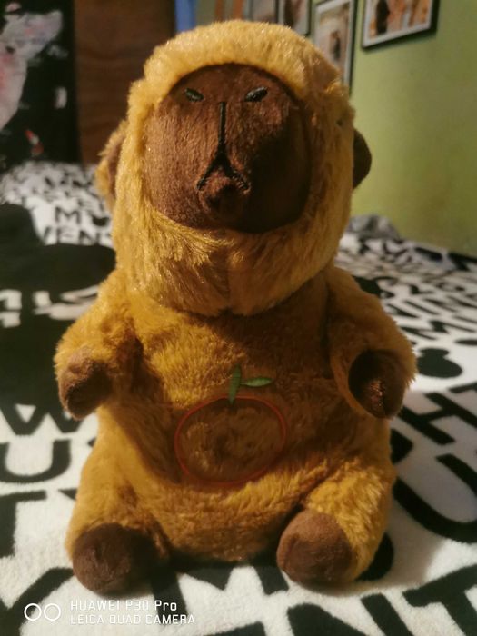 Interaktywna  kapibara pluszowa przytulanka-usypianka 40 cm .1-3 lata