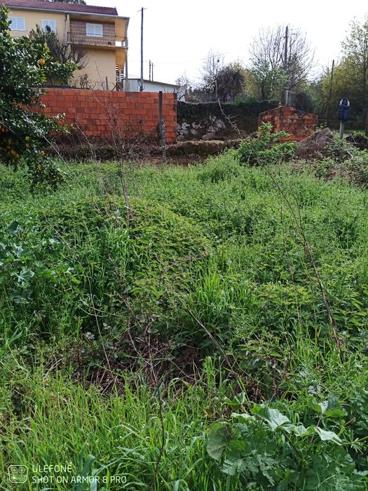 Limpeza de terrenos alguma dúvida ou interesse contactar